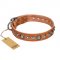 'Daily Chic' FDT Artisan Tan Leather Pitbull Collar with Decorations