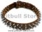 Leather Spiked Dog Collar-3 Rows of spikes dog collar