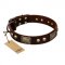 "Magic Amulet" Brown Leather Pitbull Collar with Skulls and Plates