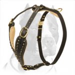 Handmade Studded Leather Dog Harness for Pit Bull