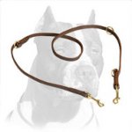 Leather and Extra Strong Pitbull Dog Leash