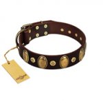 "Retro Pusle" FDT Artisan Brown Leather Pitbull Collar with Old Bronze-like Studs and Oval Brooches
