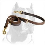Premium Quality Pitbull Dog Leash with Two Snap Hooks
