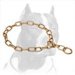 Super Strong Pitbull Dog Curogan Choke Collar