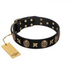 "Starry Saga" FDT Artisan Black Leather Pitbull Collar with Stars and Skulls