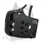 Strong Pitbull Muzzle for Agitation Training