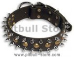 Adjustable PITBULL dog collar with Spikes and Studs