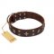 "Stars in Sands" Modern FDT Artisan Brown Leather Pitbull Collar with Studs and Stars