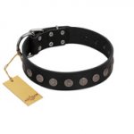 "Silent Star" Handmade FDT Artisan Designer Black Leather Pitbull Collar with Engraved Plates