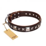 'Perfect Impression' FDT Artisan Brown Leather Pitbull Collar with Silvery Square Studs - 1 1/2 inch (40 mm) Wide