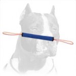 Bright Design Pitbull Training Dog Bite Roll