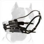 Superior Pitbull Dog Metal Wire Muzzle