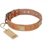 'The Middle Ages' FDT Artisan Handcrafted Tan Leather Pitbull Dog Collar