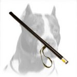 'More Motivation' Pitbull Dog Training Stick