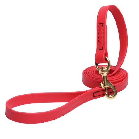 Red Waterproof Pitbull Leash Made of Biothane