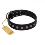 "Silver Flower" Exclusive FDT Artisan Black Leather Pitbull Collar with Silver-Like Studs