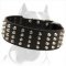 Wide Studded Leather Dog Collar for Pitbull