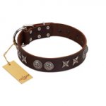 "Silver Sunset" Designer Handmade FDT Artisan Brown Leather Pitbull Collar