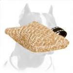 Small-Sized Pitbull Dog Training Bite Tug