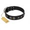 "Century Silver" Designer Handmade FDT Artisan Black Leather Pitbull Collar