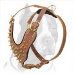 Deluxe Brass leather spiked dog harness-handmade spiked harness
