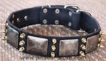 Gorgeous War Dog Leather Dog Collar - massive plates+ brass3 spike
