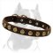 Pit Bull Gorgeous Wide Leather Dog Collar with Dotted Circles