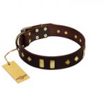 "Blinking Illusion" FDT Artisan Brown Leather Pitbull Collar with Old Bronze-like Studs and Plates