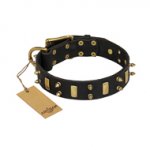 "Medieval Style" Leather Pitbull Collar with Brass Plates and Spikes