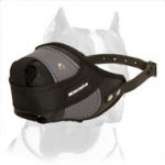 Outstanding Pitbull Training Muzzle made of Leather & Nylon