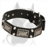 New Designer Durable Pitbull Dog Collar