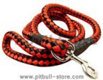 5 foot Round Nylon Leash With Brass Snap for Pitbull