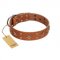 "Dreamy Gleam" FDT Artisan Tan Leather Pitbull Collar Adorned with Stars and Squares