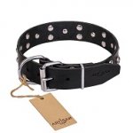 FDT Artisan 'Mystic Skulls' Decorated Leather Pitbull Dog Collar with Skulls and Studs 1 1/2 inch (40 mm)