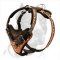 Pitbull Hand-painted Leather Harness for Agitation/Protection work