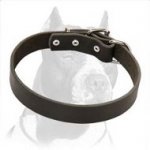 Adjustable Leather Collar with Nickel-plated Hardware for Pitbull