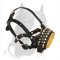 Royal Pyramids with Studs Leather Muzzle for Pitbull
