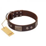 "Stone Stars" Stylish Handmade FDT Artisan Brown Leather Pitbull Collar