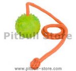 Training DOG BALL on a String-Dog Rubber Ball for Pitbull