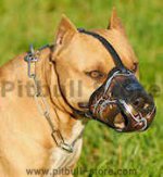 Best Art Leather dog muzzle for Pit bulls/ Pit Bull Terrier