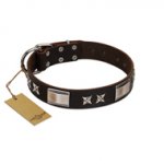 "Satin Beauts" FDT Artisan Brown Leather Pitbull Collar with Stars and Plates
