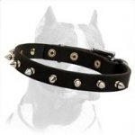 Exclusive "Rock" Style Leather Dog Collar