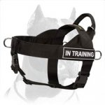 Nylon Search and Rescue Dog Harness with Handle for Pitbull