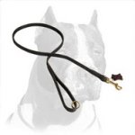 Handmade Leather Pitbull Dog Leash for Walking and Training