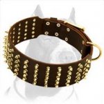 Extra Wide Leather Dog Collar with 5 Rows of Brass Spikes