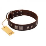 "Object of Virtu" FDT Artisan Brown Leather Pitbull Collar with Old Silver-like Square Studs and Pyramids