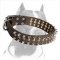 Spiked and Studded Leather Pitbull Dog Collar