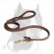 Amazing Design Pitbull Dog Leash with Smoothed Handle