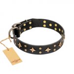 "A La Mode" FDT Artisan Black Genuine Leather Pitbull Collar