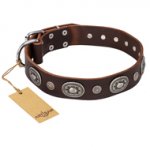 'Extra Pizzazz' FDT Artisan Adorned Brown Leather Pitbull Collar
